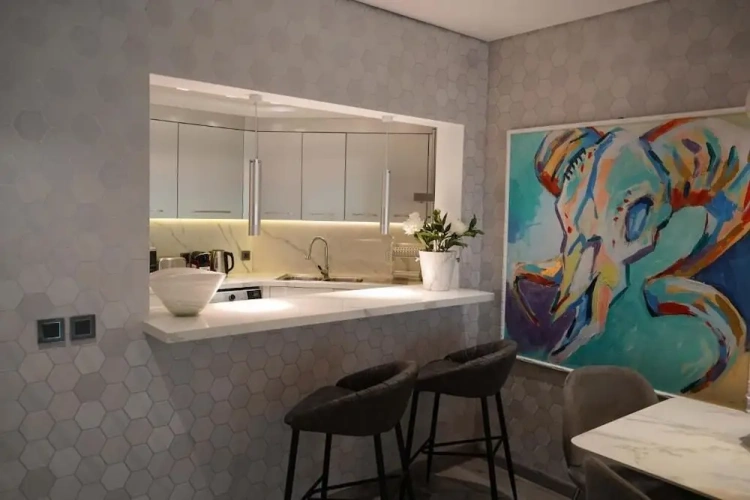 Luxury Apartment