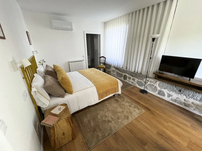 Superior Double room with balcony and with garden view