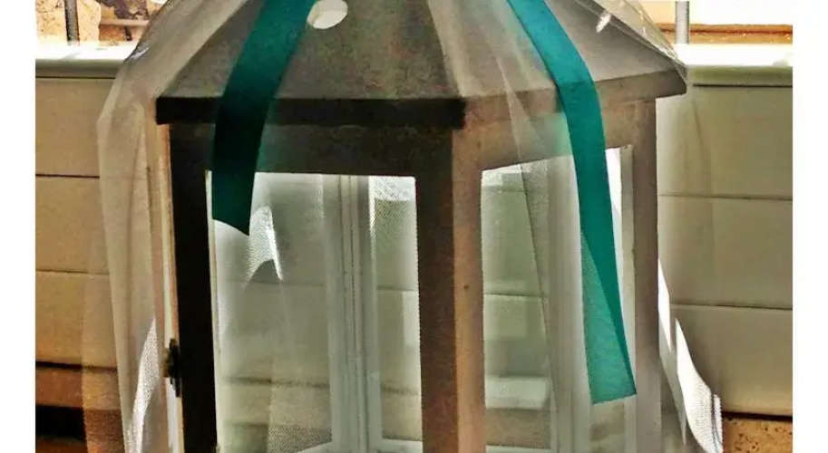 Vanity House