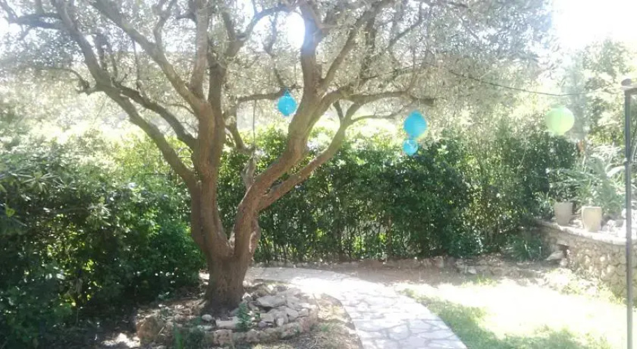 Vert et Bleu
