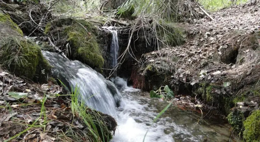 Granja Los Pinos