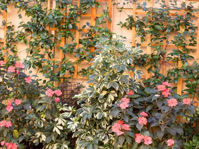 Dutch Manor Antique HotelOver view