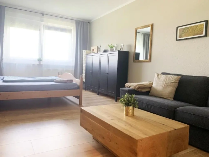 1 Bedroom Apartment