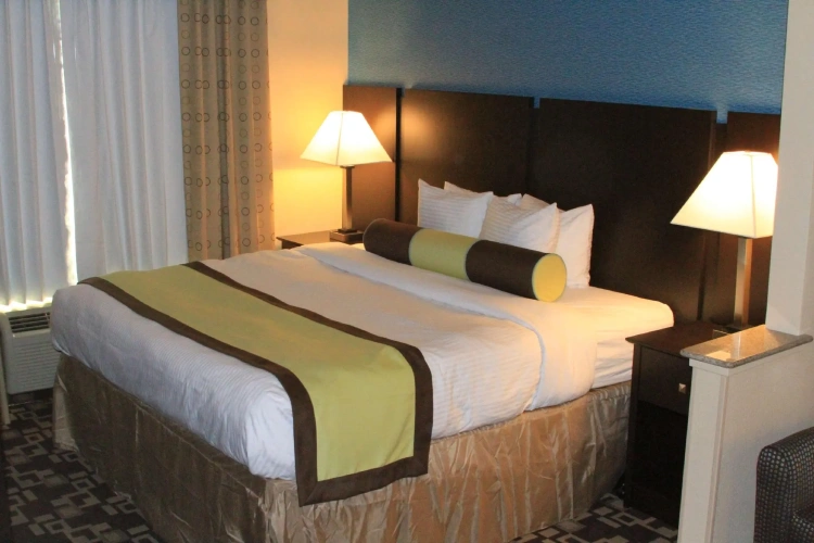 Single Junior Suite