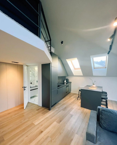 LOFT 1 BD Castle Apartament