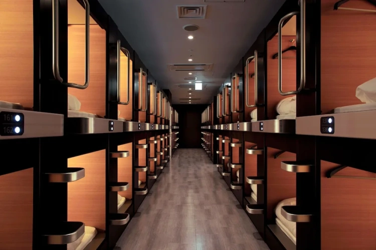 Standard Capsule