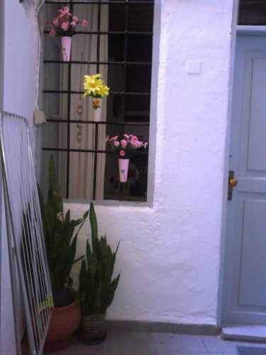 Stella Traditional Pension