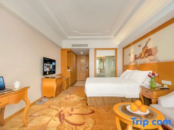 Deluxe Family Suite