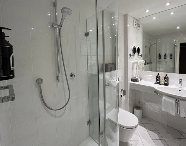Standard Double room with balcony and with park view