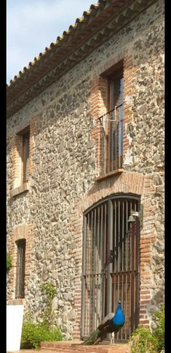 Villa del Remei