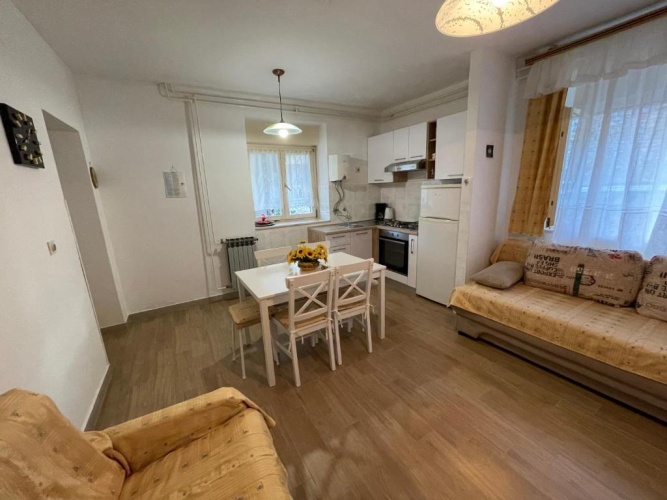 Basement Apartment