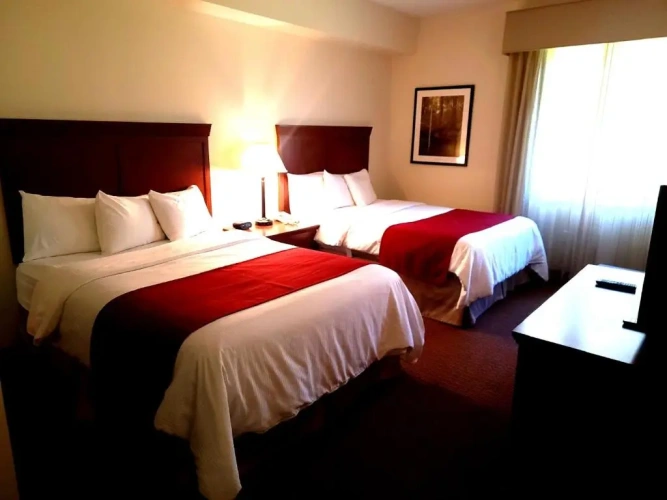 Quadruple Suite