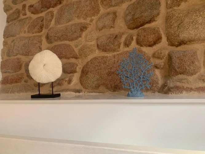 Family Studio