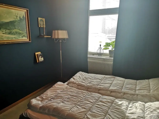 Standard Double room with park view