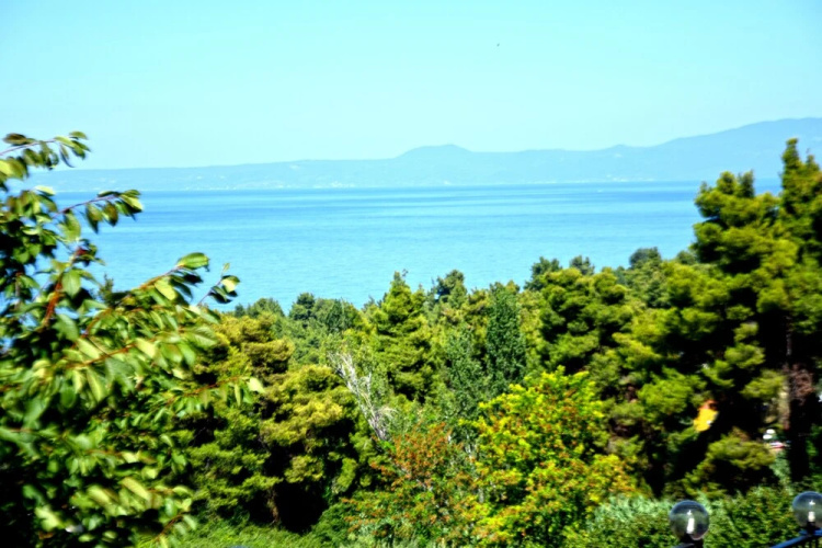 Seaview Studios