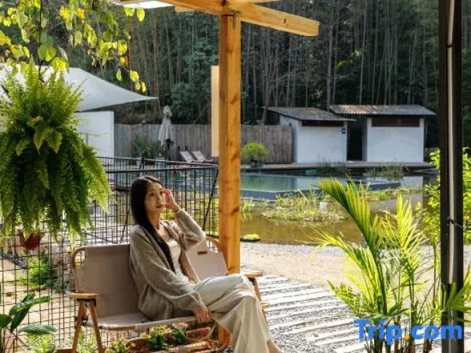 Creek Resort