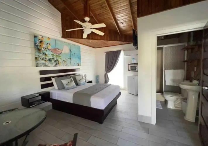 Classic Single room with balcony and with courtyard view