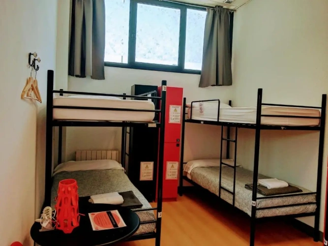 Bed in Dorm