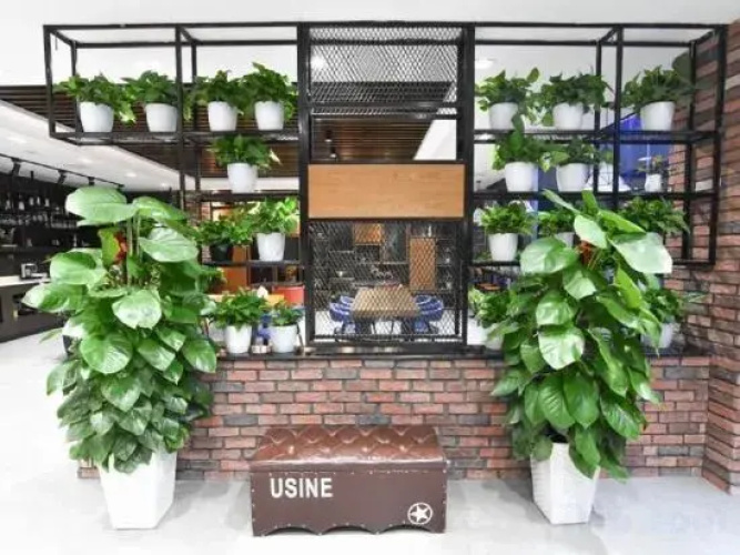 GreenTree Inn Express (Rizhao Lan Mountain Bus Station, West High-speed Railway Station)