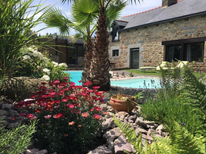 Standard Double room with pool view
