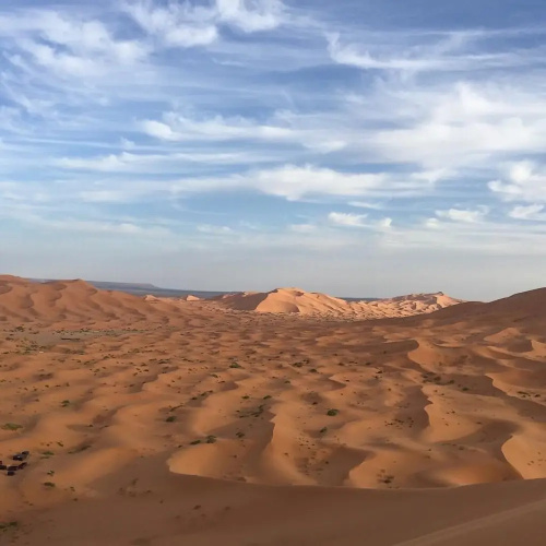 Desert Queen Camp
