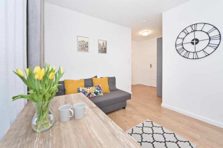 1 Bedroom Standard Apartment