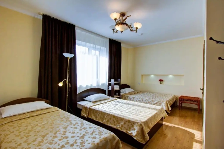 Deluxe Double room with mountain view