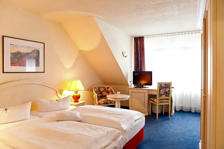Standard Single room with view