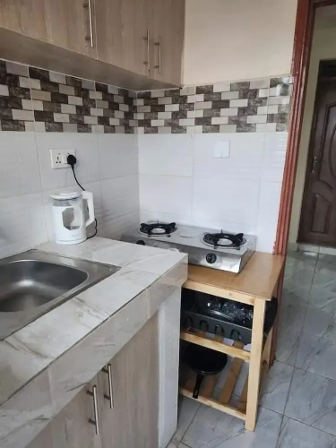 Comfort Apartment