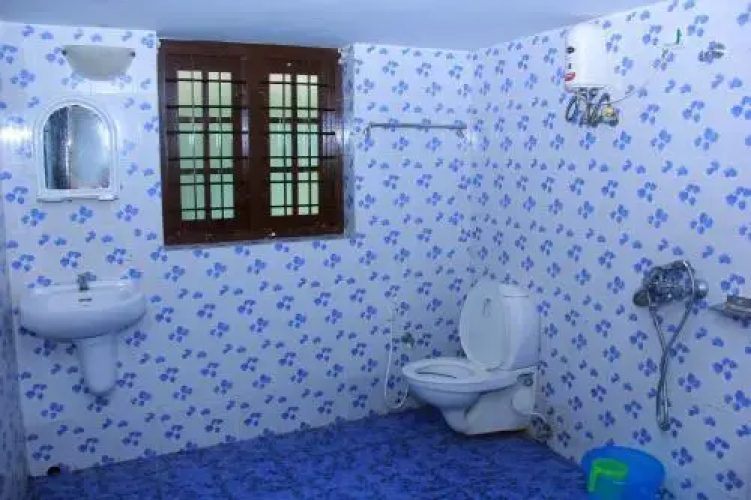 Lake Castle Alleppey villa
