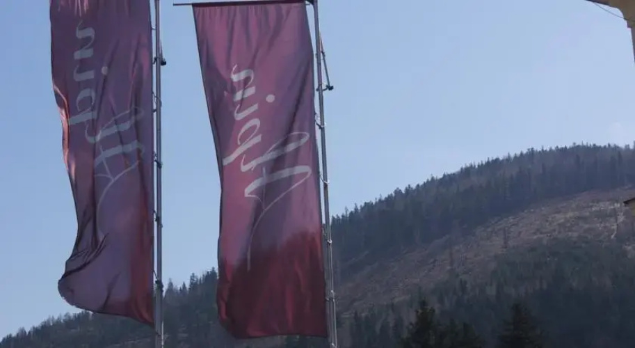 Hotel Alpin