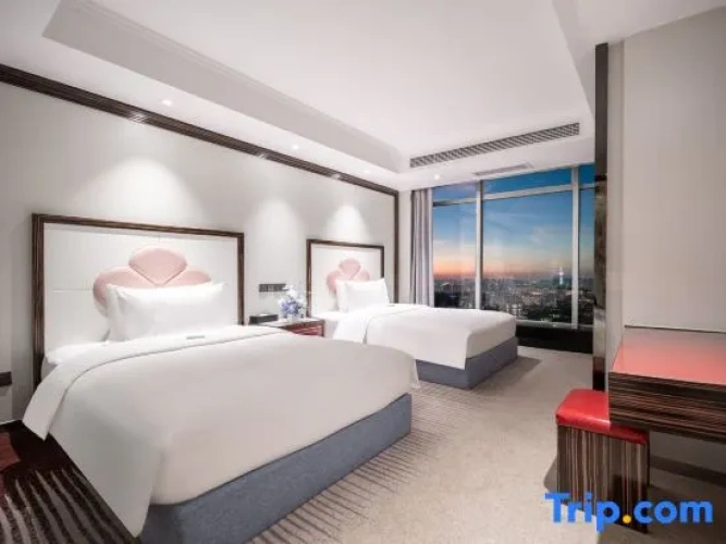 Twin Suite with city view