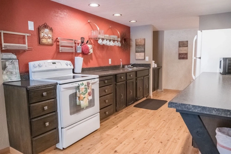 Deluxe Basement Suite