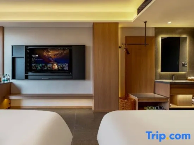 Standard Twin room with city view