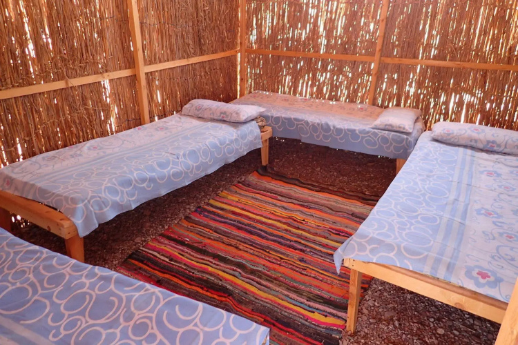 Bedouin Star (Ras shetan area)