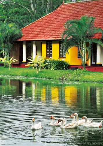 Taj Kumarakom Resort & Spa, Kerala