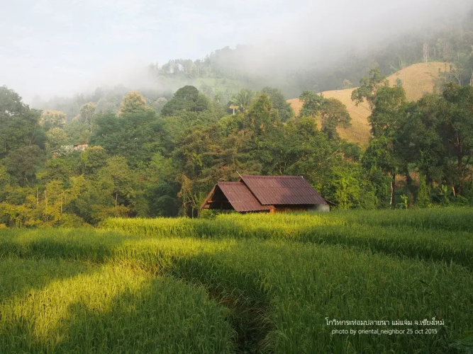 KowitFarmstay