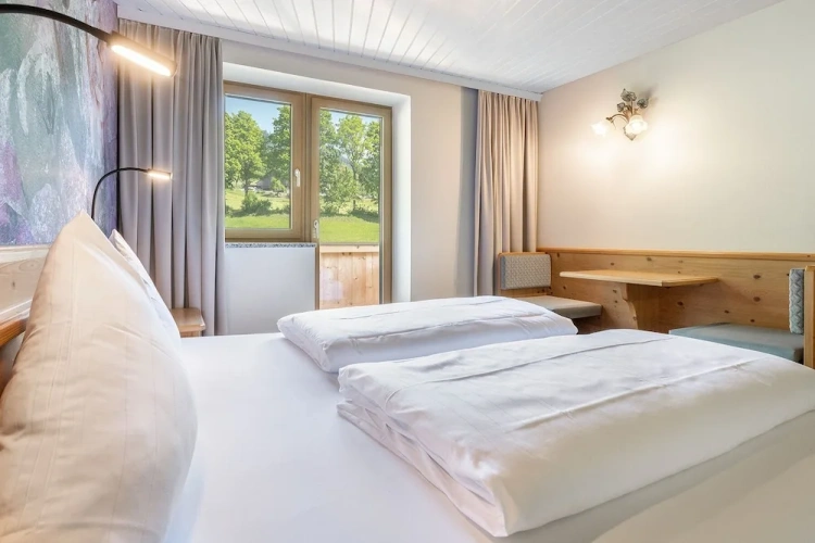 Standard Single room with balcony and with mountain view