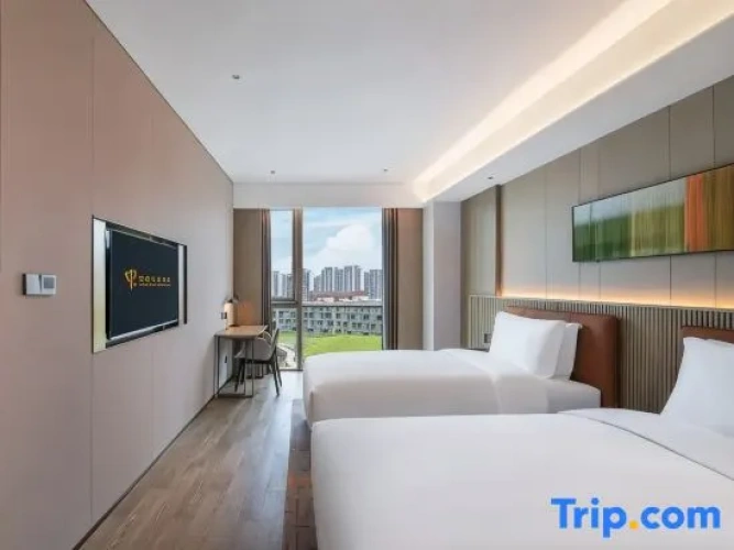 Classic Single Apartment