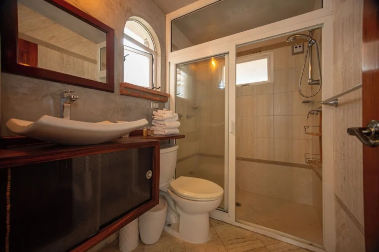 Standard Penthouse room
