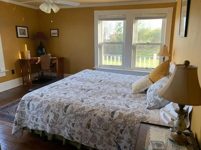 Standard Double room with garden view