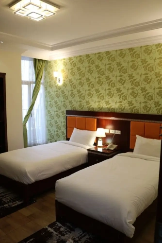 Deluxe Double room with city view