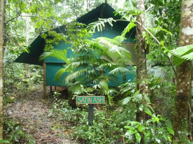 Bungalow