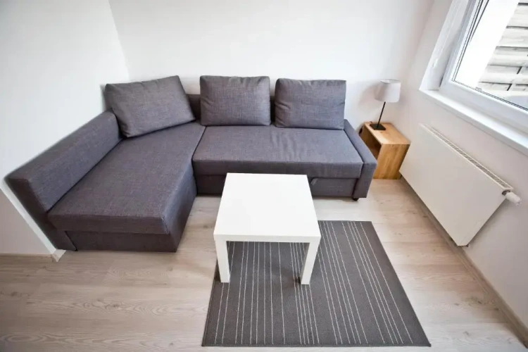 Basement Apartment with view
