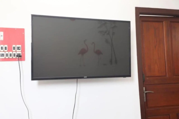 BlueMoon Homestay