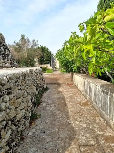 Piccola Miryam