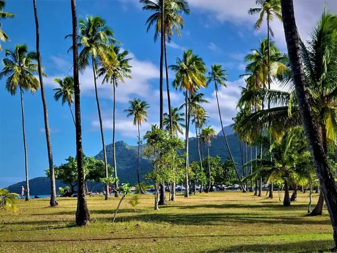 Moorea - O Motu in Temae