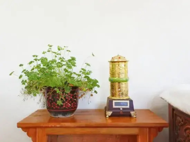 Danba Jiangji B & B