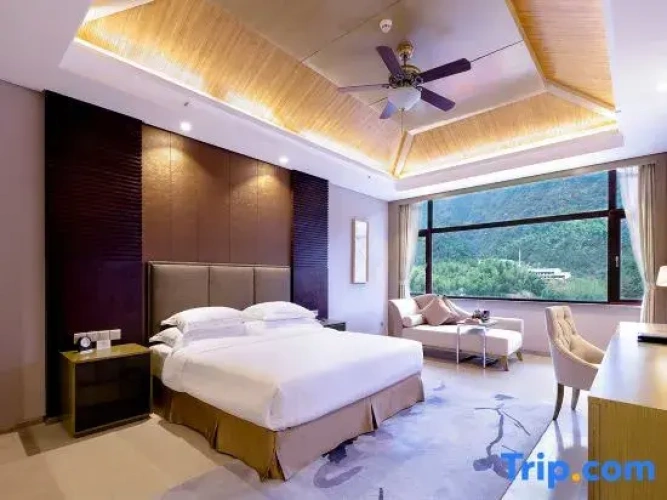 Double Family Suite