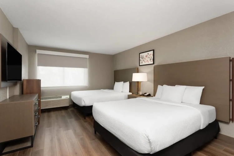 Quadruple Suite